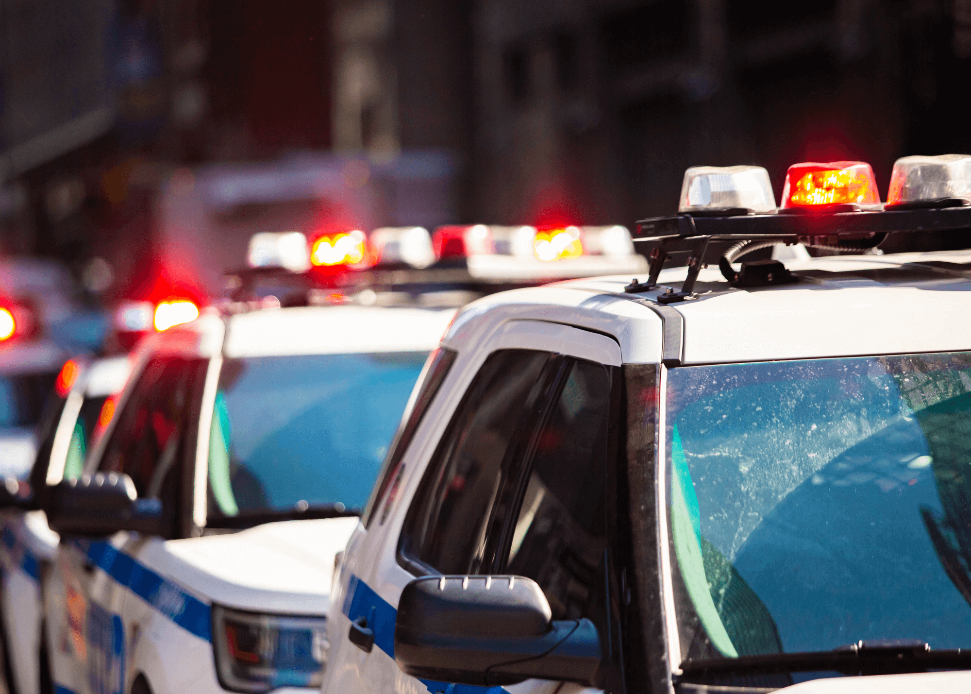 leo leo